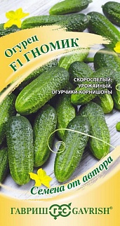 Огурец Гномик F1, 10 шт. Авторские семена.