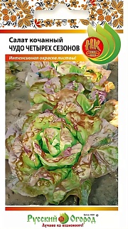 Салат Чудо 4-х сезонов, 1 г. Русский огород.