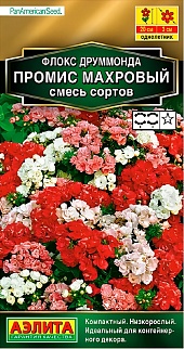 Флокс махровый Промис, смесь сортов, 10 шт. 
