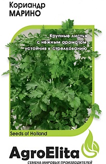 Кориандр Марино 1,0 г. Голландия.