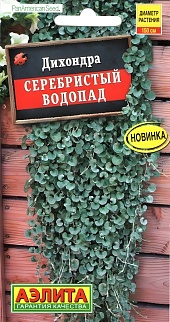 Дихондра Серебристый водопад, 3 шт. 