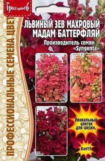 Львиный Зев Мадам Баттерфляй Три Цвета Бронзы, 7 шт.