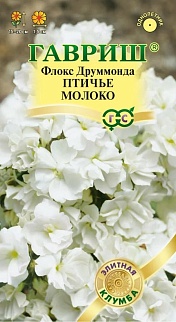 Флокс друммонда Птичье молоко, 8 шт. Элитная клумба.