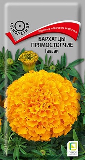 Бархатцы прямостоячие Гавайи, 0,4 г