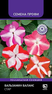 Бальзамин Баланс Стар, 10 шт. Семена Профи