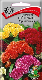 Целозия гребенчатая Коралловый сад, 0,1 г