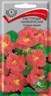Настурция низкорослая Розовая вишня, 1 г