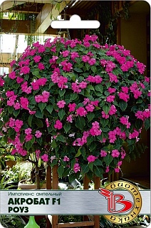 Импатиенс ампельный Акробат F1 Роз Стар, 8 шт. Биотехника