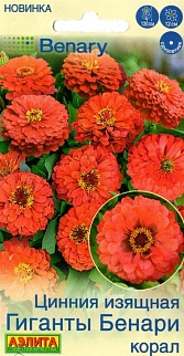 Цинния Гиганты Бенари корал, 7 шт.
