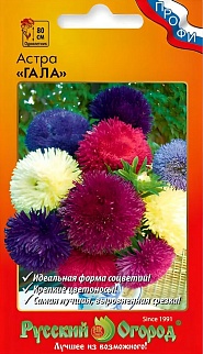 Астра Гала, смесь, 20 шт. Русский огород