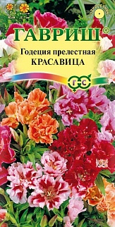 Годеция Красавица, смесь, 0,3 г