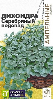 Дихондра Серебряный Водопад, 3 шт. Ампельные шедевры 