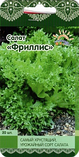 Салат Фриллис, 20 шт. Голландия