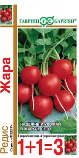 Редис Жара, 5 г. 1+1
