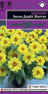 Цинния Белиз Даубл желтая, 5 шт. Эксклюзив