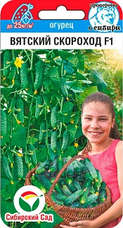 Огурец Вятский Скороход, 6шт. Сибирский сад