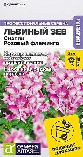 Львиный зев Снэппи Розовый фламинго, 7 шт. 