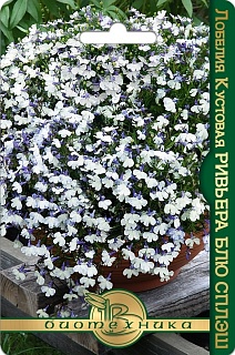 Лобелия кустовая Ривьера Блю Сплэш, 10 шт. Драже Биотехника