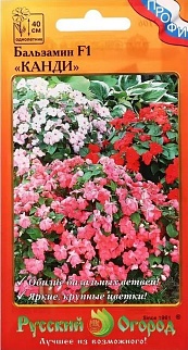 Бальзамин Канди F1 смесь, 10 шт. Русский огород
