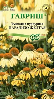 Эхинацея Парадизо желтая, 6 шт. 