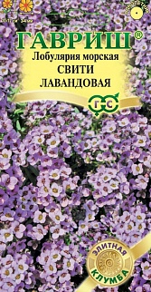 Лобулярия Свити лавандовая, 25 шт. Элитная клумба. 