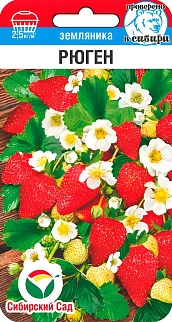 Земляника Рюген, 10 шт.