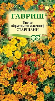 Бархатцы тонколистные Старшайн, смесь, 0,05 г