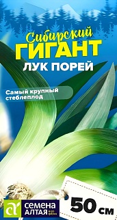 Лук Порей Сибирский Гигант, 0,5 г. Сибирские Гиганты.