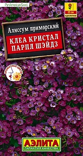 Алиссум Клеа кристал парпл шэйдз, 4 шт.
