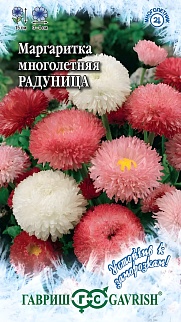 Маргаритка Радуница смесь, 0,05 г. Устойчив к заморозкам.