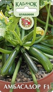 Кабачок цуккини Амбасадор F1, 5 шт. Биотехника.