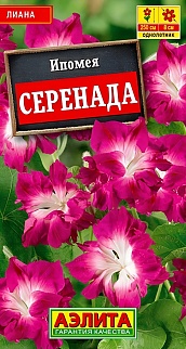 Ипомея Серенада, 0,21 г