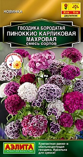 Гвоздика Пиноккио карликовая махровая, смесь сортов, 0,1 г