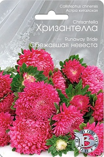 Астра китайская Хризантелла Сбежавшая невеста, 30 шт. Биотехника