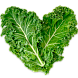 Капуста кудрявая Кале