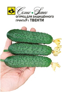 Огурец Твенти, 10 шт.