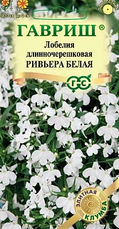 Лобелия Ривьера Белая, 5 шт. Элитная клумба. 