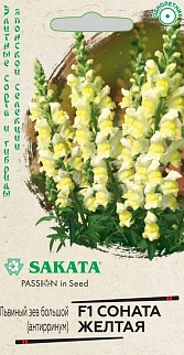 Антирринум (Львиный зев) Соната желтая F1, 7 шт. Саката 