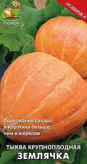 Тыква крупноплодная Землячка, 10 шт.
