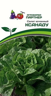Салат кочанный Ксанаду, 15 шт. Агрофирма Партнер.