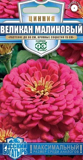 Цинния Великан малиновый, 0,3 г. Русский богатырь. 