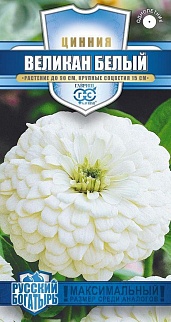 Цинния Великан белый, 0,3 г. Русский богатырь.