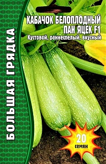 Кабачок Пан Яцек F1,  20 шт.
