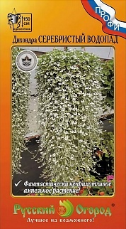 Дихондра Серебристый водопад, 5 шт. 
