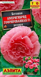 Бегония гофрированная Америгибрид F1, розовая, 5 шт.