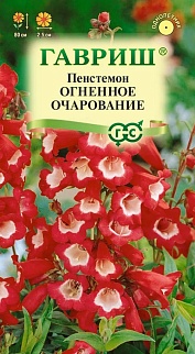 Пенстемон гибридный Огненное очарование, 0,1 г