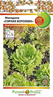 Молодило Горная королева , смесь, 5 шт. Русский огород