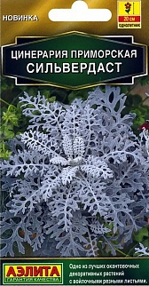 Цинерария Сильвердаст, 0,5 г