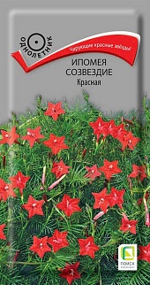 Ипомея Созвездие Красная, 0,3 г