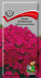 Флокс друммонда Красотка в малиновом, 0,1 г